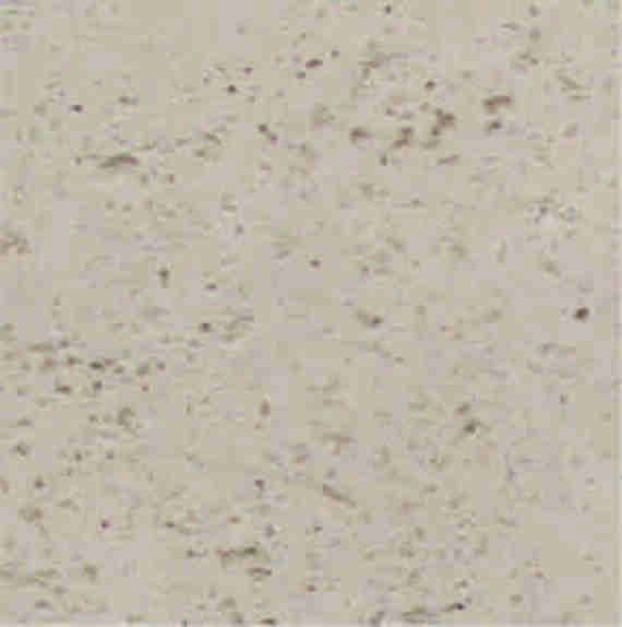 Travertín  39,6x39,6x4 -  krémová