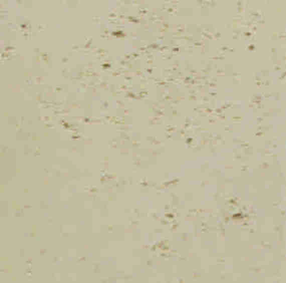 Travertín 59,6x59,6x4 - žltá