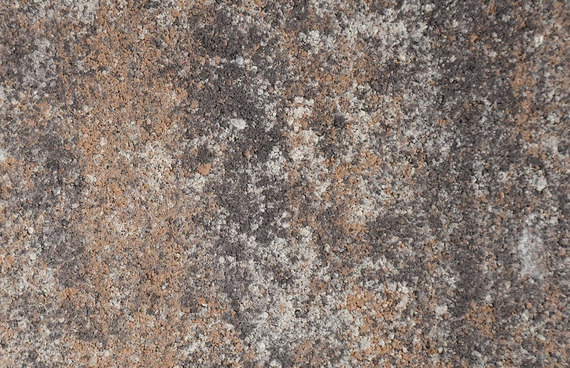 Arteria 8 cm  4 formáty -  terra