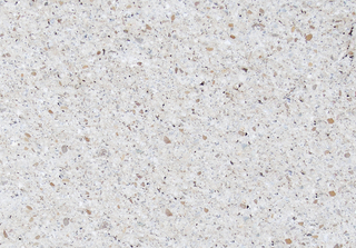 Schodiskový stupeň lámaný kameň -  biela