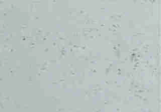 Travertín  19,6x19,6x4 -  piesková