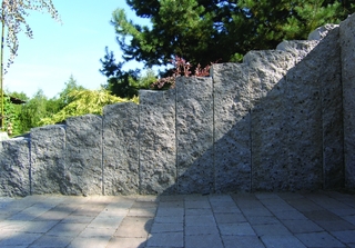 Palisády